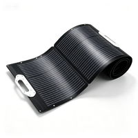 Chargeur Solaire Personnalisé Monophasé Pliable MPPT Type C Étanche avec Logo Personnalisé Portable d'Urgence pour l'Extérieur Vente en Gros