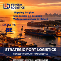 Agent maritime, logistique de conteneurs, service de dédouanement pour l'importation vers la Belgique, ports d'Anvers et de Bruges, livraison sécurisée