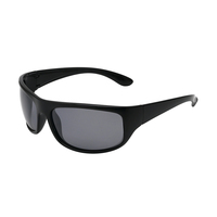 Lunettes de soleil de sport polarisées unisexes professionnelles avec logo personnalisé, revêtement anti-rayures, verres interchangeables, directement de l'usine