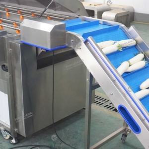 Machine à laver les radis blanche personnalisée en usine avec réservoir de trempage, machine de nettoyage des radis - Product Image 3