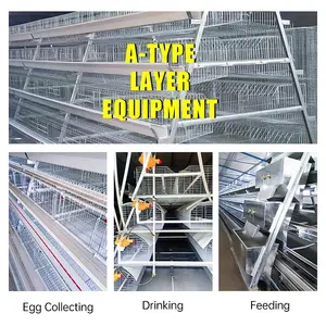 Sıcak satış otomatik tavuk çiftliği ekipmanları A tipi yumurta katmanlı tavuk pil kafesleri satılık