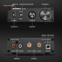 A1001 Profesyonel Mini 100W Subwoofer Amfi Sınıf D DSP HiFi Mono Dijital Yüksek Güçlü Alüminyum Alaşımlı Ev İçin