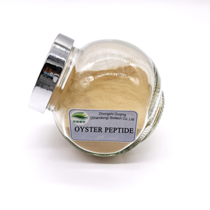 High Quality Oyster Peptide Powder Bioactive Oyster Extract for Men's Healthcare Supplement Bulk Supply