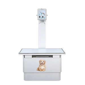 جهاز المراقبة البيطرية من شاندونغ سانينغ جهاز أشعة سينية للاستخدام الحيواني جهاز أشعة سينية مثبت على الأرض سعر آلة أشعة سينية تنافسية - Product Image 1