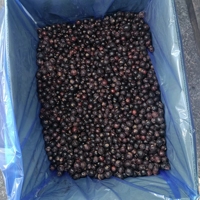 Hot Selling Iqf Frozen Blackcurrent Verse Prijzen In Bulkverpakking Groothandel Iqf Bevroren Fruit
