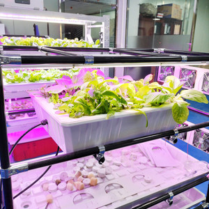 Plateaux de culture à 40 trous Système hydroponique de clonage <span class=keywords><strong>Plateau</strong></span> d'ensemencement de plantes clonées en plastique ABS - Product Image 2