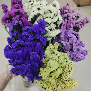 Composizione Floreale di Nontiscordimé e Limonium Essiccati, Bouquet Naturale Essiccato per la Festa della Mamma, Matrimoni e Decorazioni Interne - Product Image 6