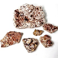 Minerai minéral naturel rare Paragenic Fanta Garnet Cluster Smoky Quartz Spécimen minéral pour la collecte