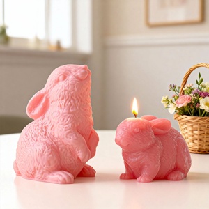 Moule en silicone TangChu Poppy Easter DIY pour bougies parfumées, forme irrégulière 3D stéréo pour ornements en plâtre - Product Image 3