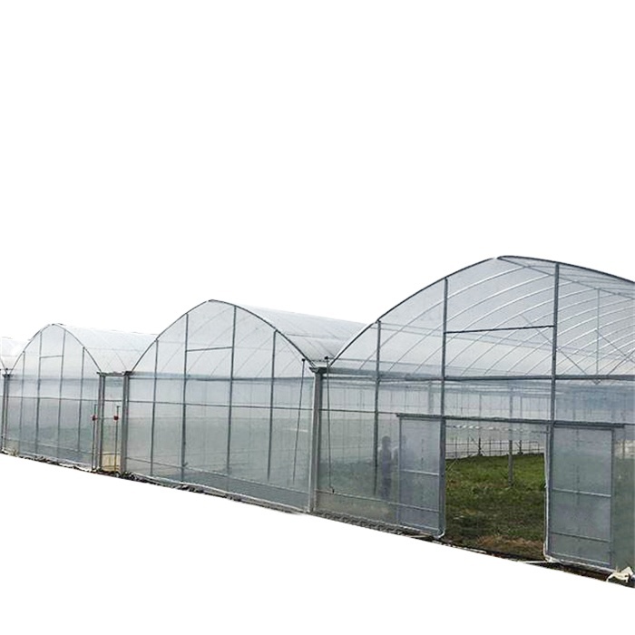Serre Agricole Green House Metal Frame