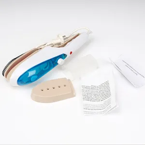 Provide Warranty OEM Handheld Travel Clothes Garment Steamer With 800W 100ML Water Tank