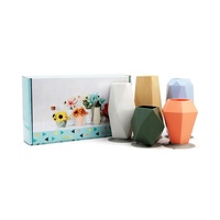 Florero De Silicona Forme Géométrique Vase Plante Pot De Fleur Vase De Fleur En Silicone Avec Ventouse Forte