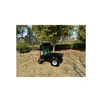 ANT EBY500A Carriola Elettrica Verde con Batteria al Piombo-Acido 12V 20Ah*4, Motocarriola Elettrica