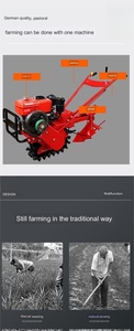 Mini Cultivador <span class=keywords><strong>a</strong></span> <span class=keywords><strong>Gasolina</strong></span> para Labranza y Deshierbe en Pequeñas Granjas, Motocultor Manual - Product Image 5