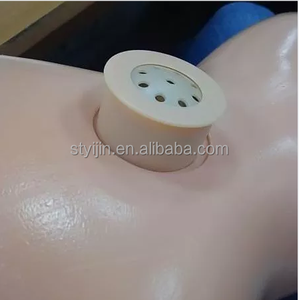 Mexico âm thanh động vật ghi âm Máy nghe nhạc trẻ em Đồ chơi bóp hộp âm nhạc hộp tròn âm thanh ghi âm giọng nói - Product Image 3