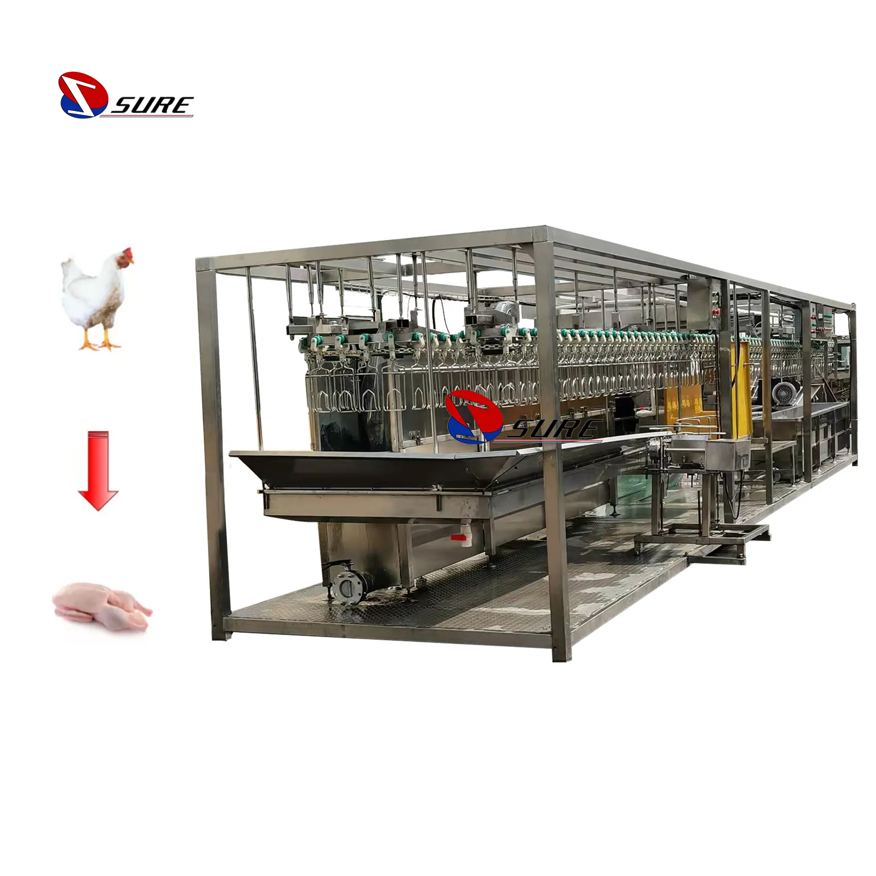 Mesin Pencabut unggas industri jalur produksi pemotongan ayam