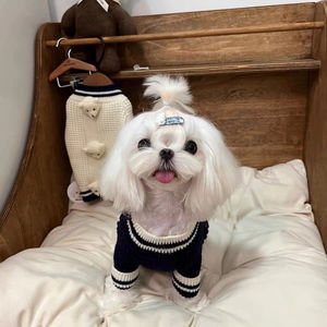 Ropa para Perros, Suéter Tejido Nuevo y Bonito para Invierno, para Perros Pequeños como Bichón, Teddy, Pomerania, Poodle, <span class=keywords><strong>Yorkshire</strong></span> y Gatos - Product Image 3