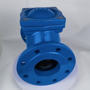 Áp lực cao trượt lăn dọc ngang cài đặt BS En 1092 PN16 một chiều không trở lại bóng kiểm tra van - Product Image 5