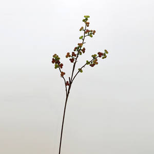 Vente en gros <span class=keywords><strong>de</strong></span> <span class=keywords><strong>fruits</strong></span> et fleurs simulés grappes d'argousier et brindilles <span class=keywords><strong>de</strong></span> saule des neiges pour la décoration <span class=keywords><strong>de</strong></span> la maison pour Halloween Noël - Product Image 6