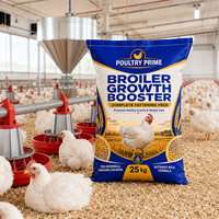Additifs alimentaires pour la prise de poids des poulets, acides aminés de qualité alimentaire, promoteur de croissance avicole, améliorant l'engraissement, vitamines