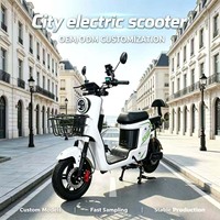 Vélo électrique haute puissance 800W 72V avec moteur sans balais à moyeu arrière, cadre en acier au carbone 3 vitesses, longue autonomie pour adultes