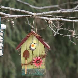Maison d'oiseau suspendue pour maison d'oiseau décorative en bois de jardin rustique extérieur - Product Image 4