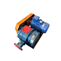 Shan Gu Fabrieksprijs Afvalwaterzuiveringsapparatuur RSR-100 Dubbele Olietank Luchtgekoelde Mini Roots Vacuümblazer