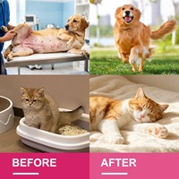 Gouttes liquides pour les voies urinaires Canneberge & D-Mannose Complément alimentaire pour chiens et chats 60ml Soin urinaire pour animaux OEM