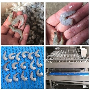 Máy Bóc Vỏ Tôm Máy Tách Vỏ Tôm Tươi Máy Bóc Vỏ Tôm Khô Đông Lạnh - Product Image 6
