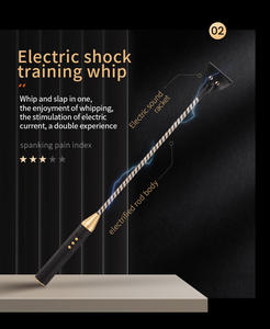 Chicote de Treinamento Adulto com Choque Elétrico, Brinquedos Sexuais BDSM, Chicote Erótico e Plug Anal para Homens e Mulheres, Ferramenta de Treinamento Feminino - Product Image 2