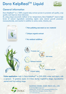 Organique Omri Listed Jardinage Dora KelpReal <span class=keywords><strong>Engrais</strong></span> azoté hydroponique Nutriments <span class=keywords><strong>Engrais</strong></span> liquide pour plantes - Product Image 2