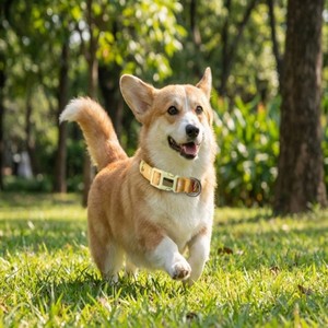 Kalung Anjing YG-113 Bahan Polyester Bernapas Motif Kartun Sport Fashion Personalisasi Gambar Anak Anjing - Product Image 4