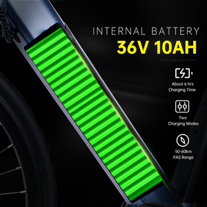 Bicicleta Eléctrica Urbana de Acero con Sensor, 36V 250W, 700C, 7 Velocidades, Frenos de Disco Mecánicos Shimano, Batería LG, para Adultos, en Stock en la UE - Product Image 3