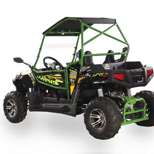 Fangpower FX250 DICTATOR Quad à 4 roues tout-terrain pour adultes, véhicule tout-terrain, buggy des dunes, UTV 250cc - Product Image 1