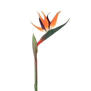 Fleur artificielle simple en soie, type oiseau de paradis, pour décoration intérieure, salon, côté canapé, sur pied, pour mariage - Product Image 1