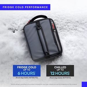 Waterproof Customized Food Grade Material Portable Thermal Insulated/Insulated Lunch/Cooler Tote/Ice Bag for Picnic Beach - Product Image 3