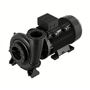 Pompe centrifuge horizontale Grundfos NbG 1 CV, raccord à bride de sortie 50 mm, moteur électrique, fabrication danoise - Product Image 3