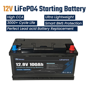 12V 100Ah LiFePO4 voor campers & lichte vrachtwagens, start, hoge vermogensoutput, 1200CCA, trillingsbestendig & onderhoudsvrij - Product Image 1