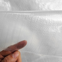 Film tissé agricole transparent en HDPE 120GSM avec protection UV, bâche imperméable pour serre et verger