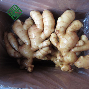 <strong>Ginger</strong> <strong>Exporters</strong> China / Buy Chinese <strong>Ginger</strong> - Product Image 5