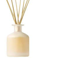 Diffuseur de parfum en verre givré avec logo personnalisé, coffret cadeau, bâtonnets en rotin naturel, parfum d'ambiance pour la maison, décoration, désodorisant
