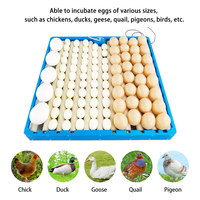 Plateau à Œufs à Rouleaux Automatique 70 Pièces / Plateau d'Incubateur en Plastique pour la Vente