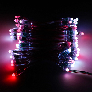 5V Ws2818 Bullet Pixel Rgb <span class=keywords><strong>Led</strong></span> Licht 12Mm Waterdichte Kerstverlichting - Product Image 5
