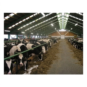 Nave Agrícola Modular Moderna de Acero con Múltiples Secciones Divididas para Granjas, Estructura de Acero Prefabricada para Establos de Vacas - Product Image 1
