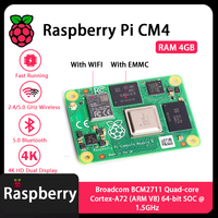 Module informatique Raspberry Pi CM4 4 Go de RAM CM4104000 CM4104008 CM4104016 CM4104032 CM4004000 CM4004008 CM4004016 CM4004032 Variantes