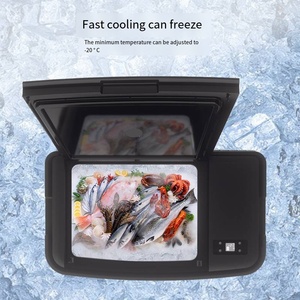 Il frigorifero dell'automobile 35L <span class=keywords><strong>per</strong></span> il modello di Tesla Y è adatto a nuovo frigorifero esterno di refrigerazione del compressore del veicolo di energia - Product Image 5