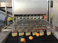 Industriële Automatische Mandarijn Oranje Peeling Machine
