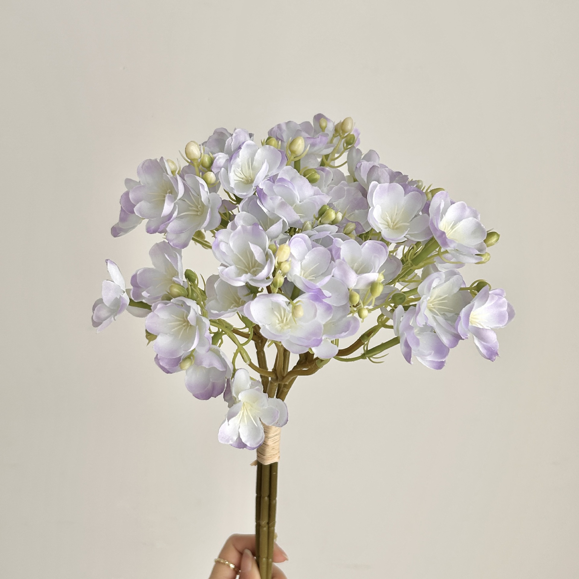 Pourpre