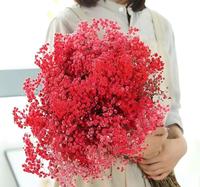 Groothandel Gedroogde Gypsophila Bloemboeket Meerdere Kleuren Gedroogde Bloemen Kerst Valentijn Pasen Cadeau Huis Bruiloft Decoratie