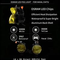Projecteur antibrouillard Bi-LED en gros 36W 9-30V 3000K/6000K 4116100XGW02A pour Haval Chitu
